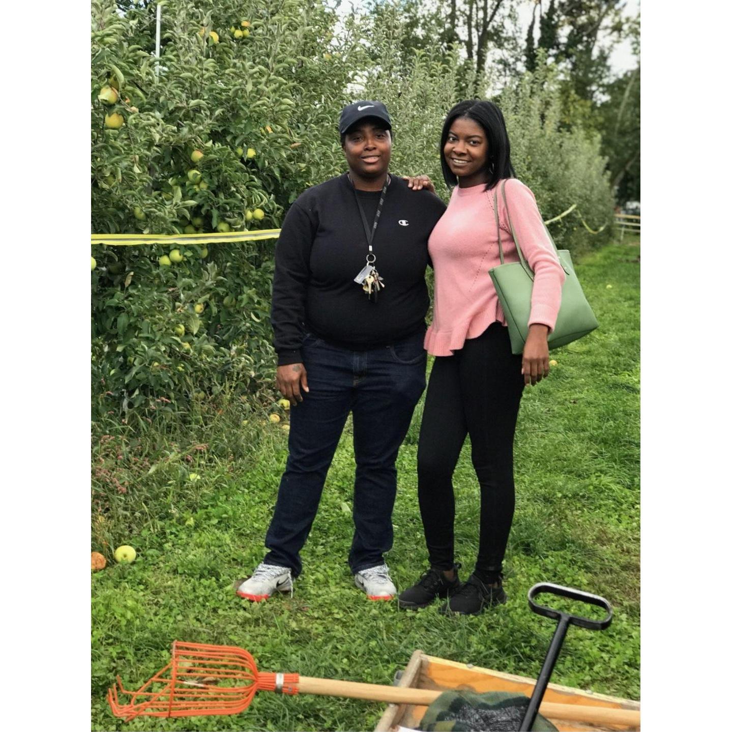 Apple picking.