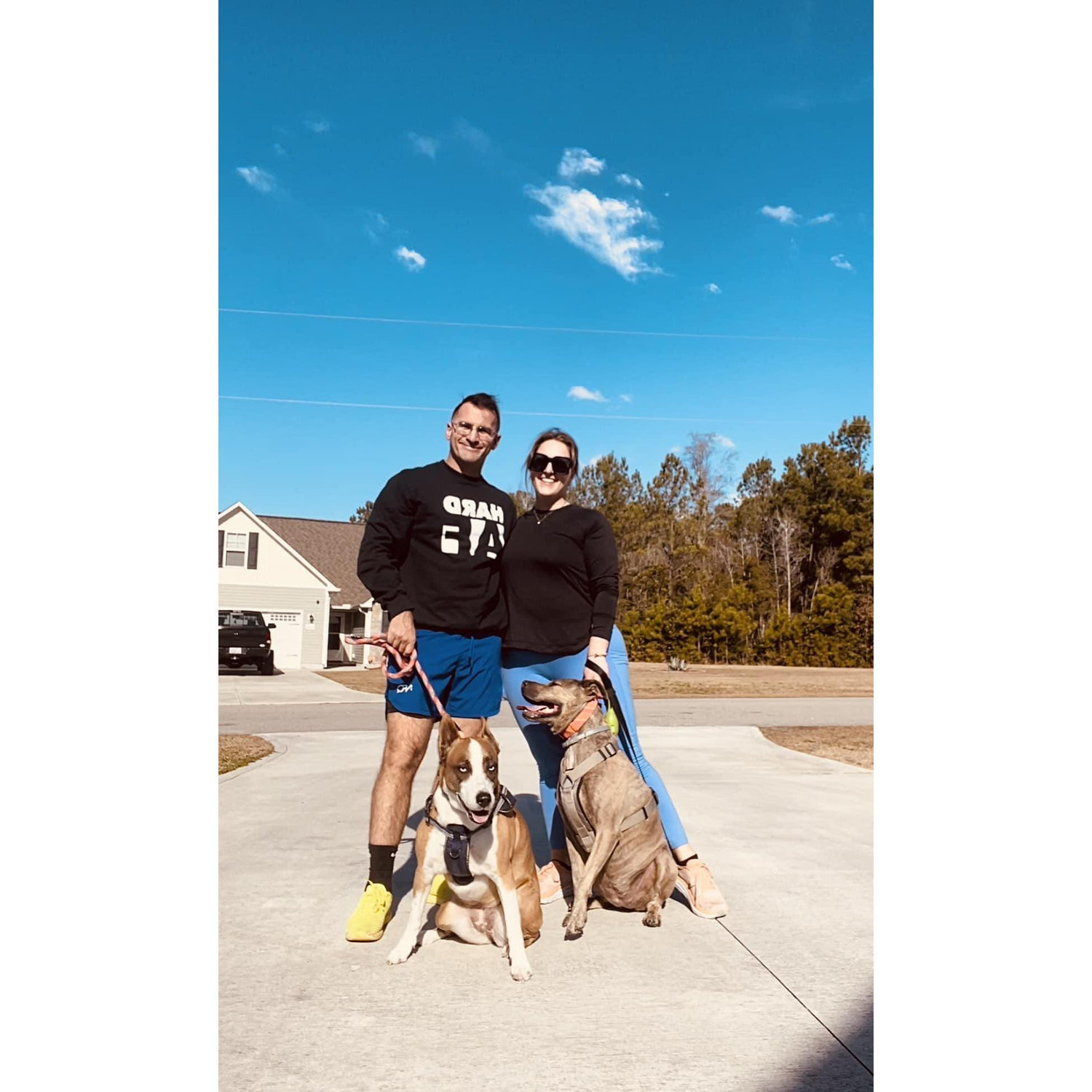 matching family dog walks - jan 2023