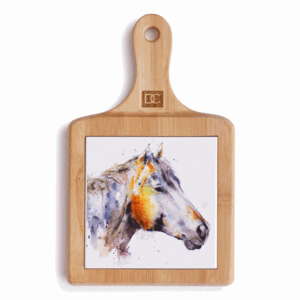 Poncho Cheese Board Set