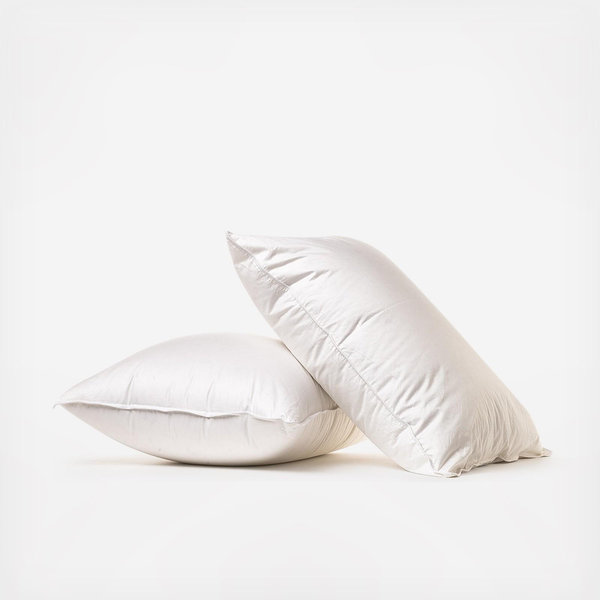 Parachute Down Alternative Euro Pillow Insert