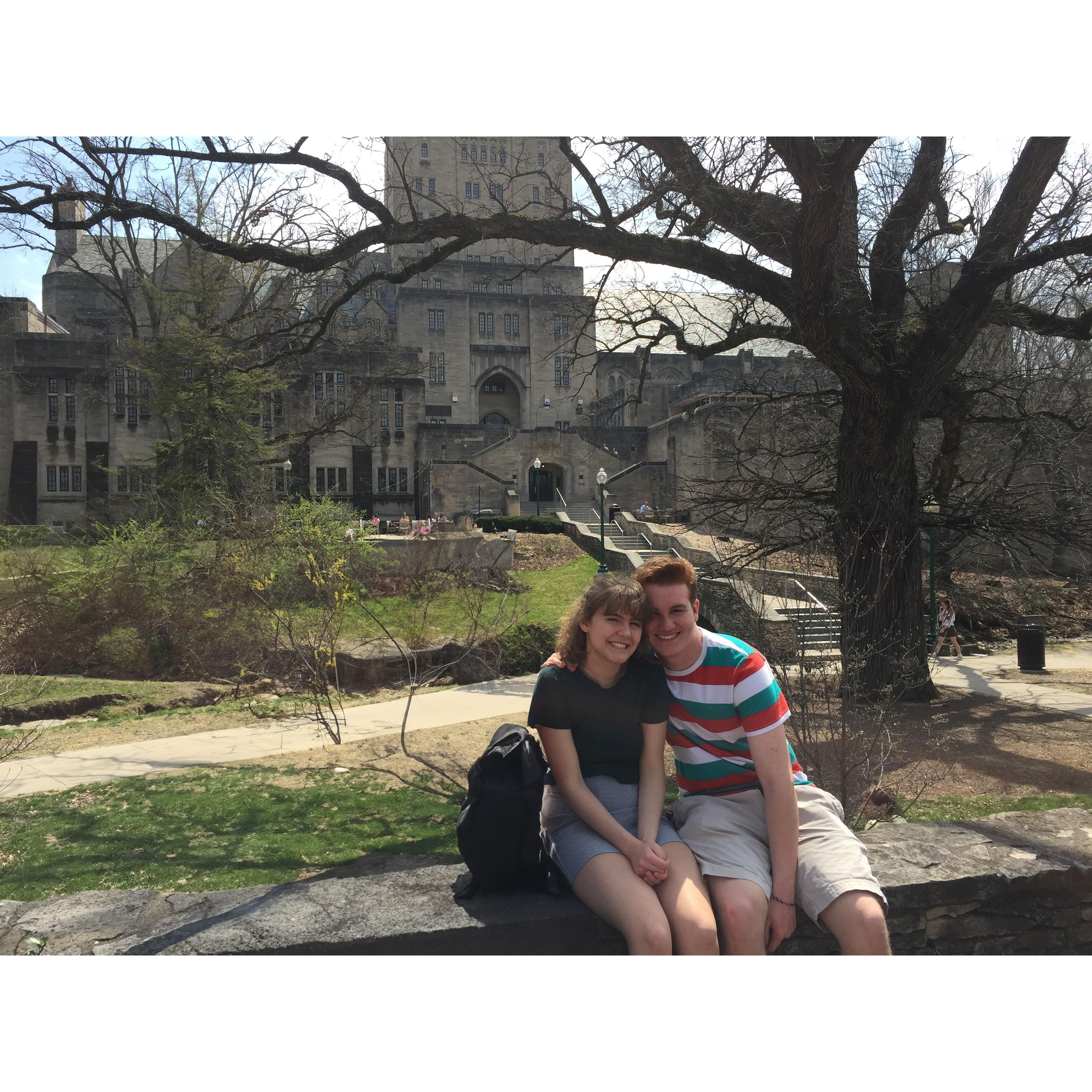 IU Tour!