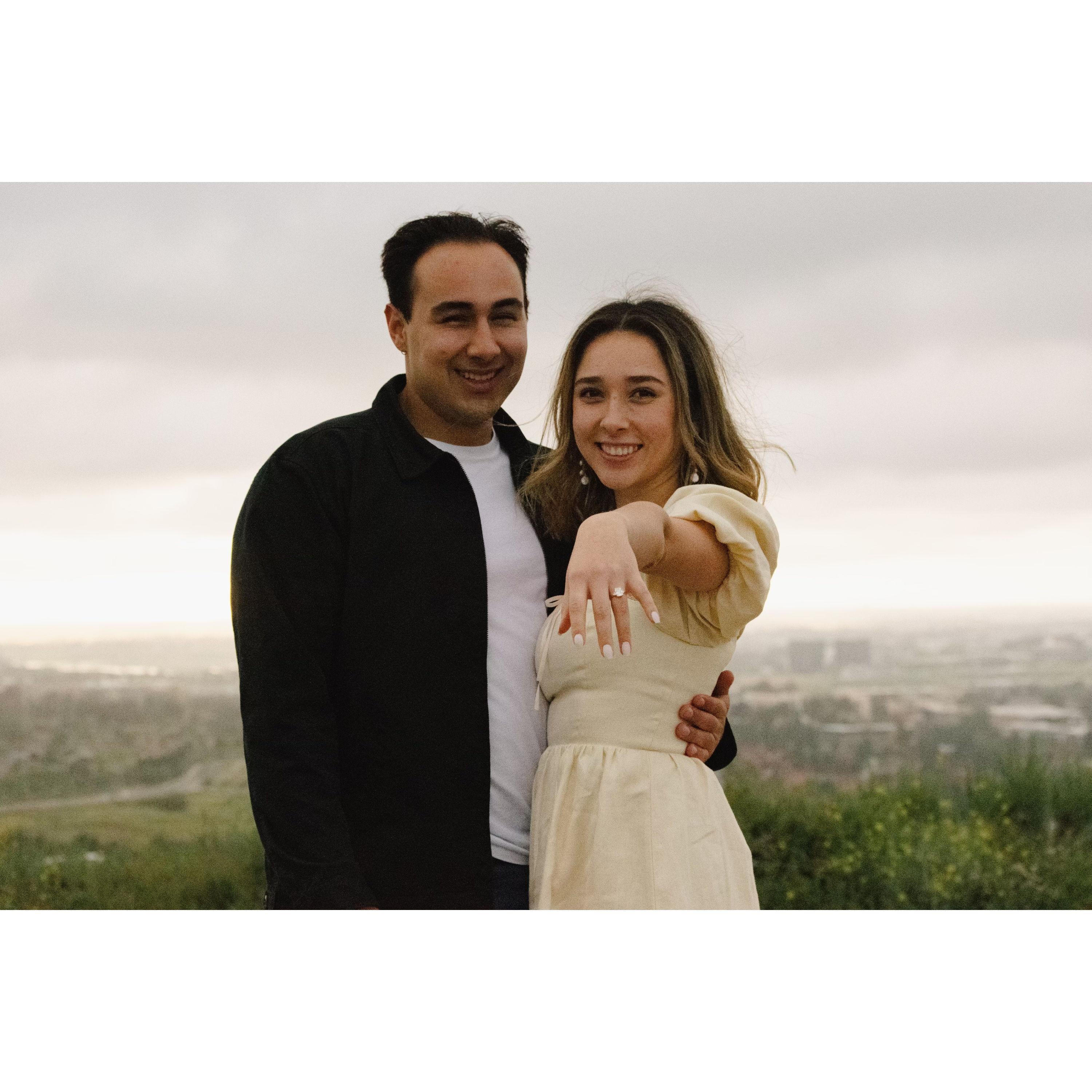 The proposal (2024)