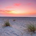 Go to one of the many beaches nearby.