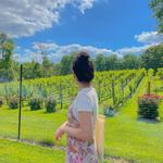 Paradise Springs Winery
