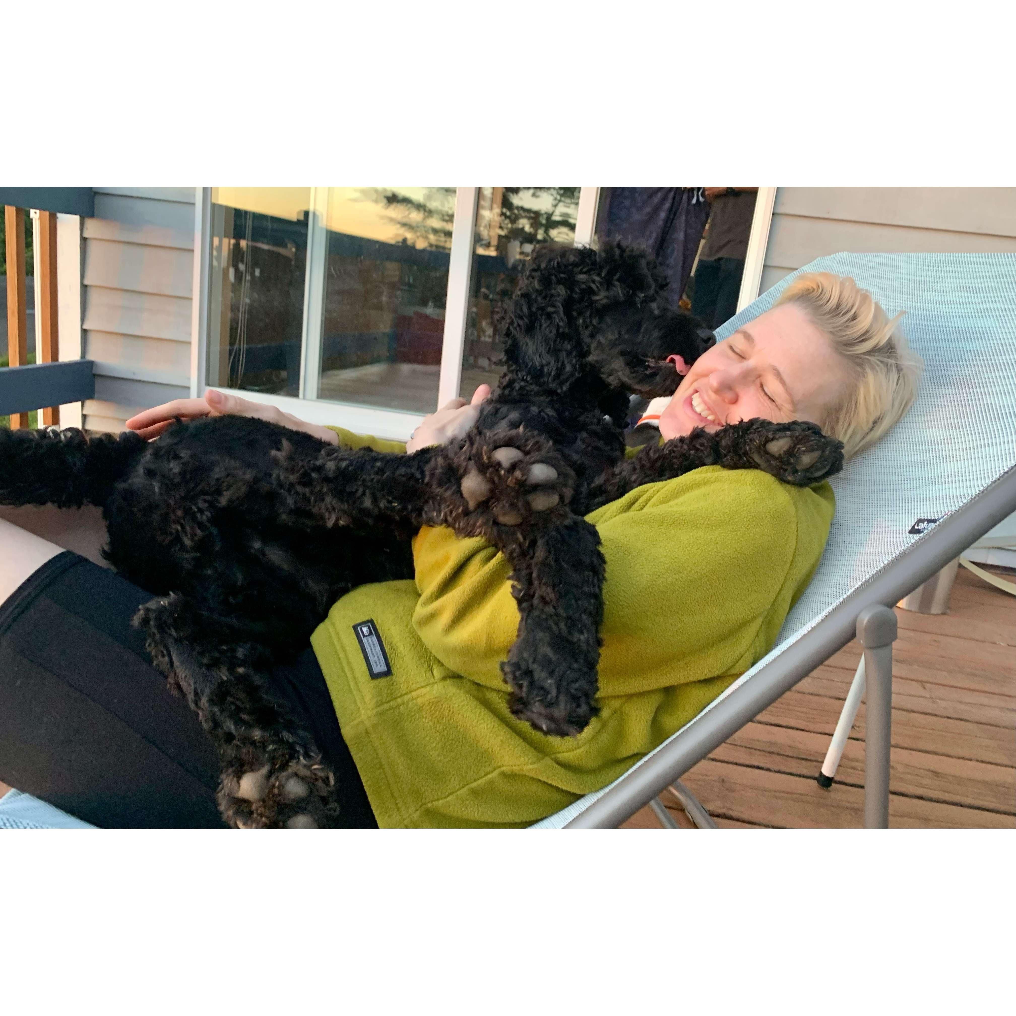 Weighted blanket? Therapy Doodle? Yes.