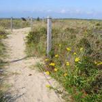 Waquoit Bay National Estuarine Research Reserve