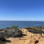 Torrey Pines State Natural Reserve