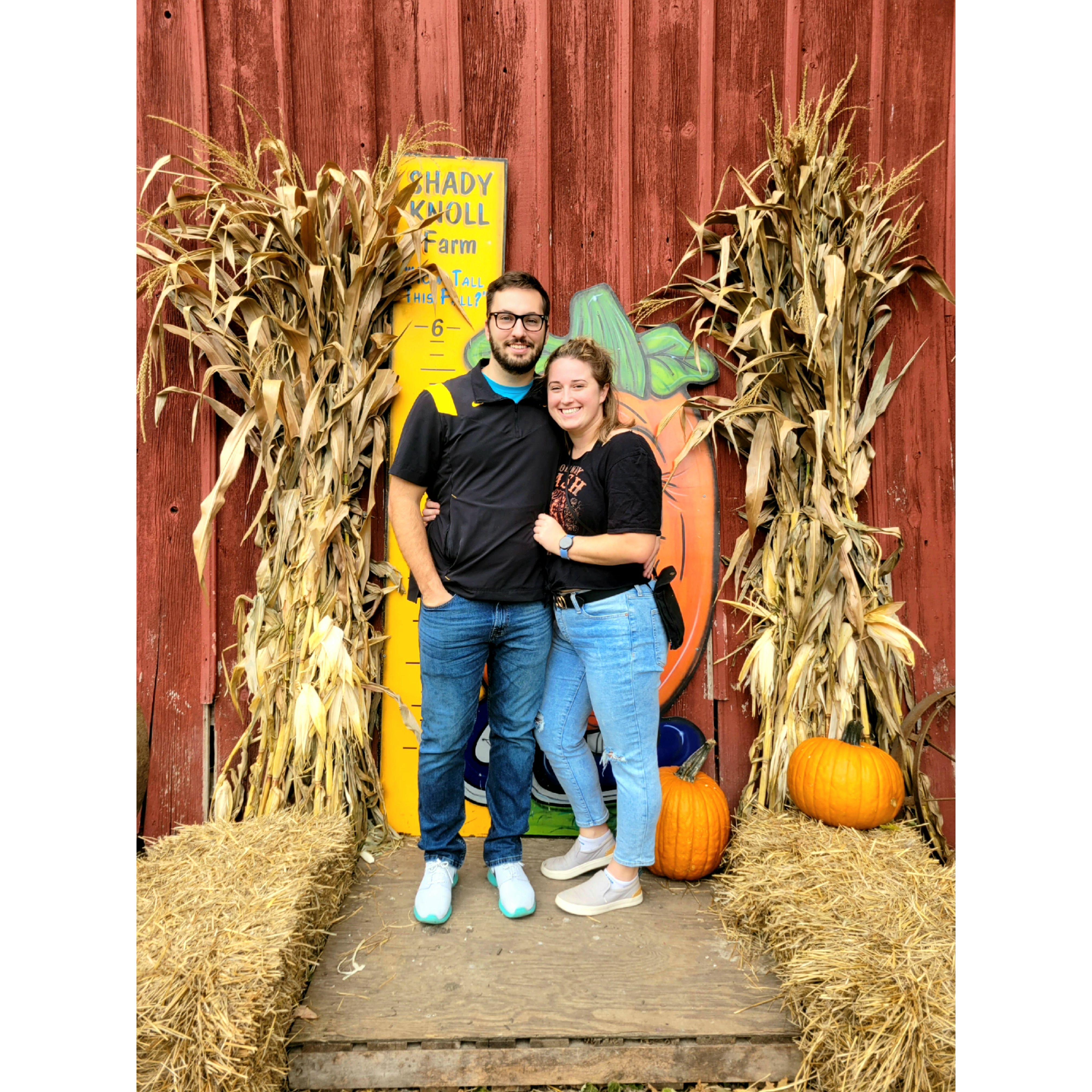 Pumpkin Patch Year 2