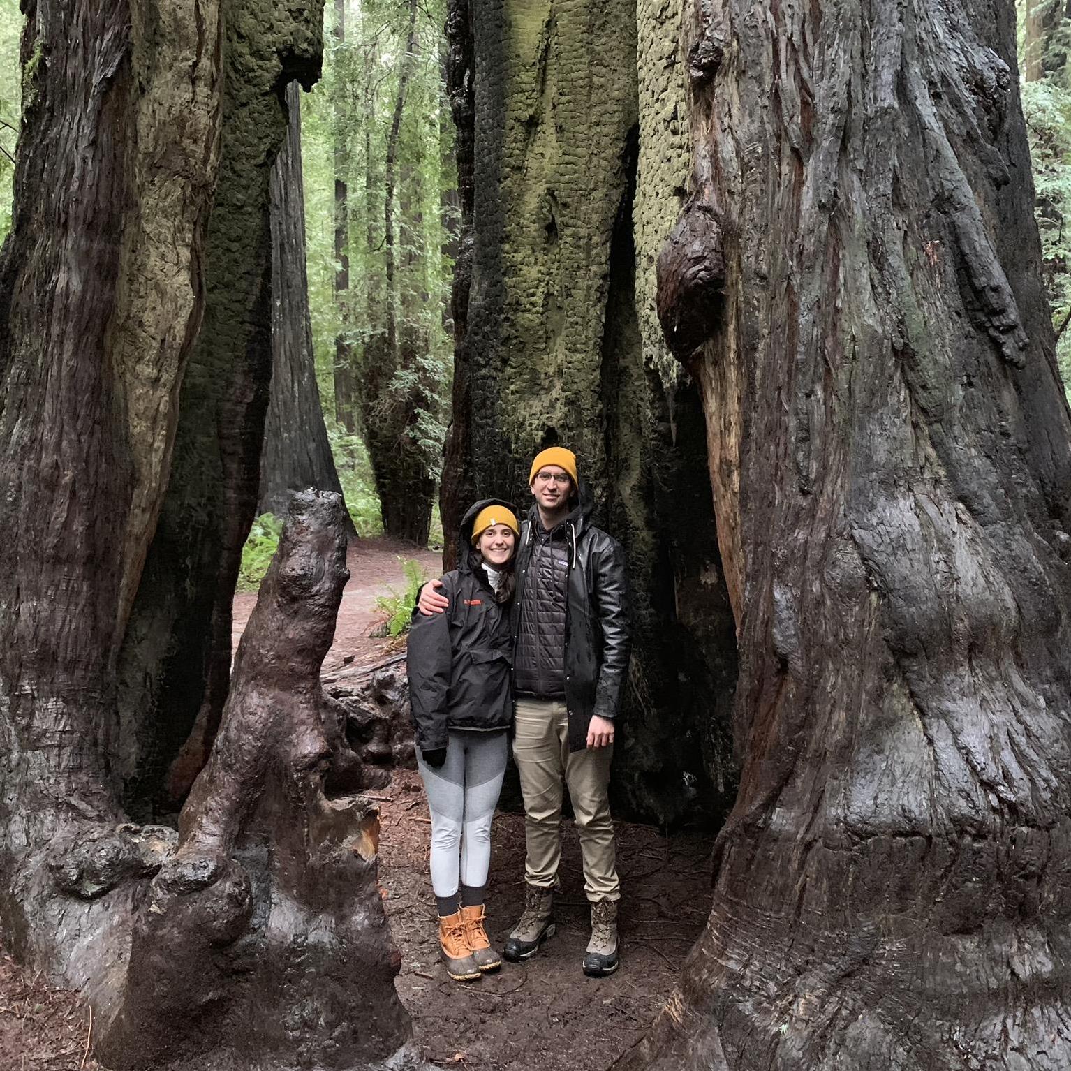 Standing among the giants at Avenue of the Giants (Feb, 2019)