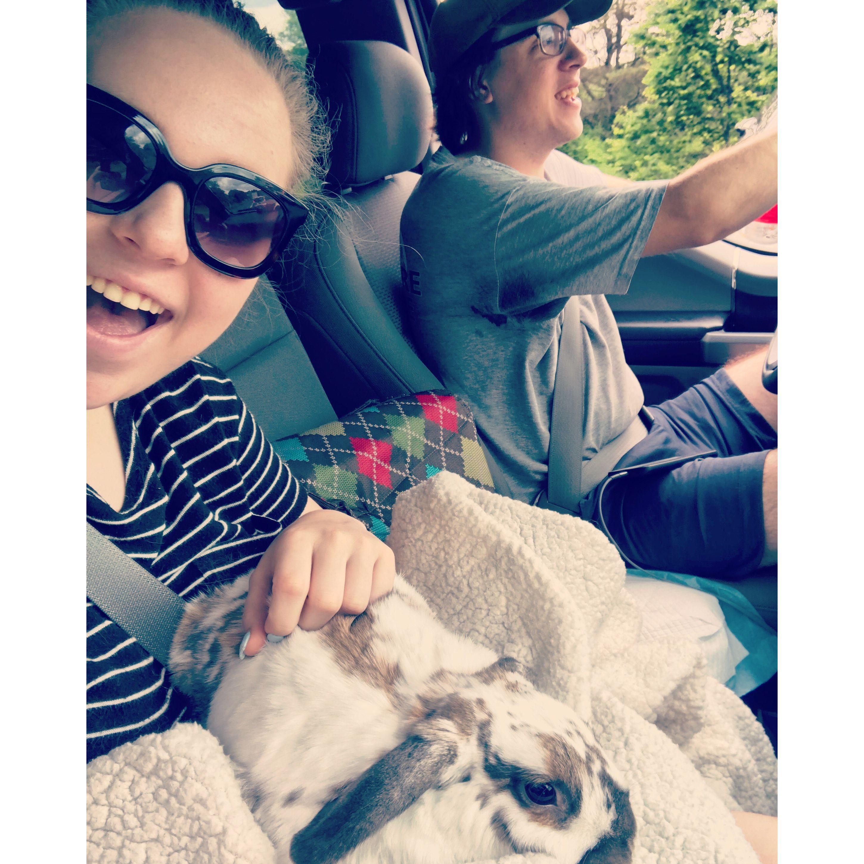 First family road trip