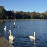 Hyde Park