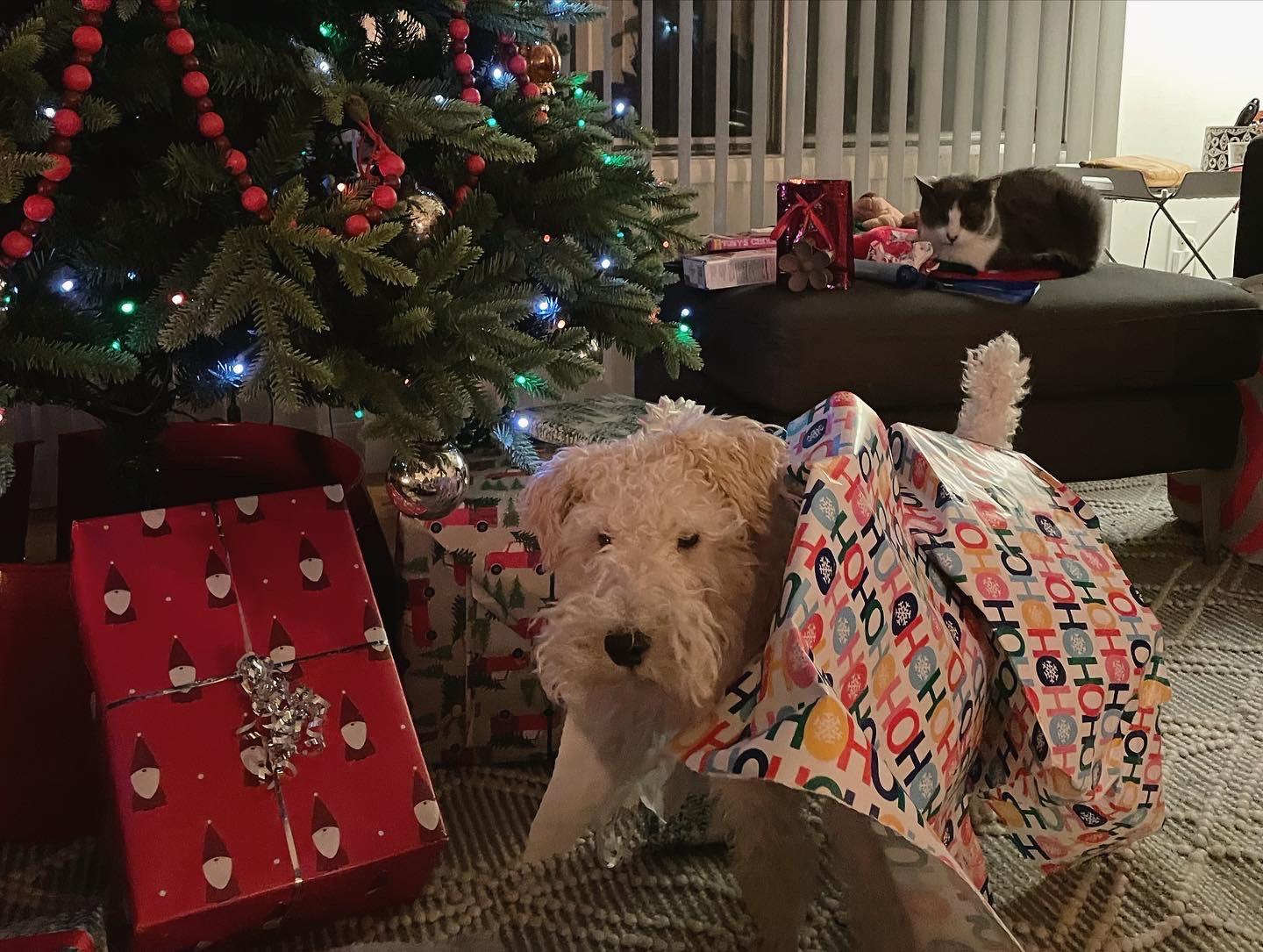 The Wedding Website of Anne Warzecha and Samuel Siffert