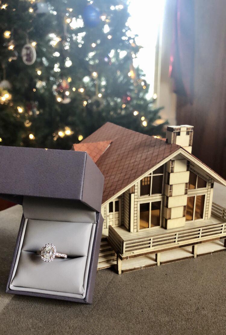 Bren proposed by the Christmas tree & the cats using this little log cabin she built ♥️