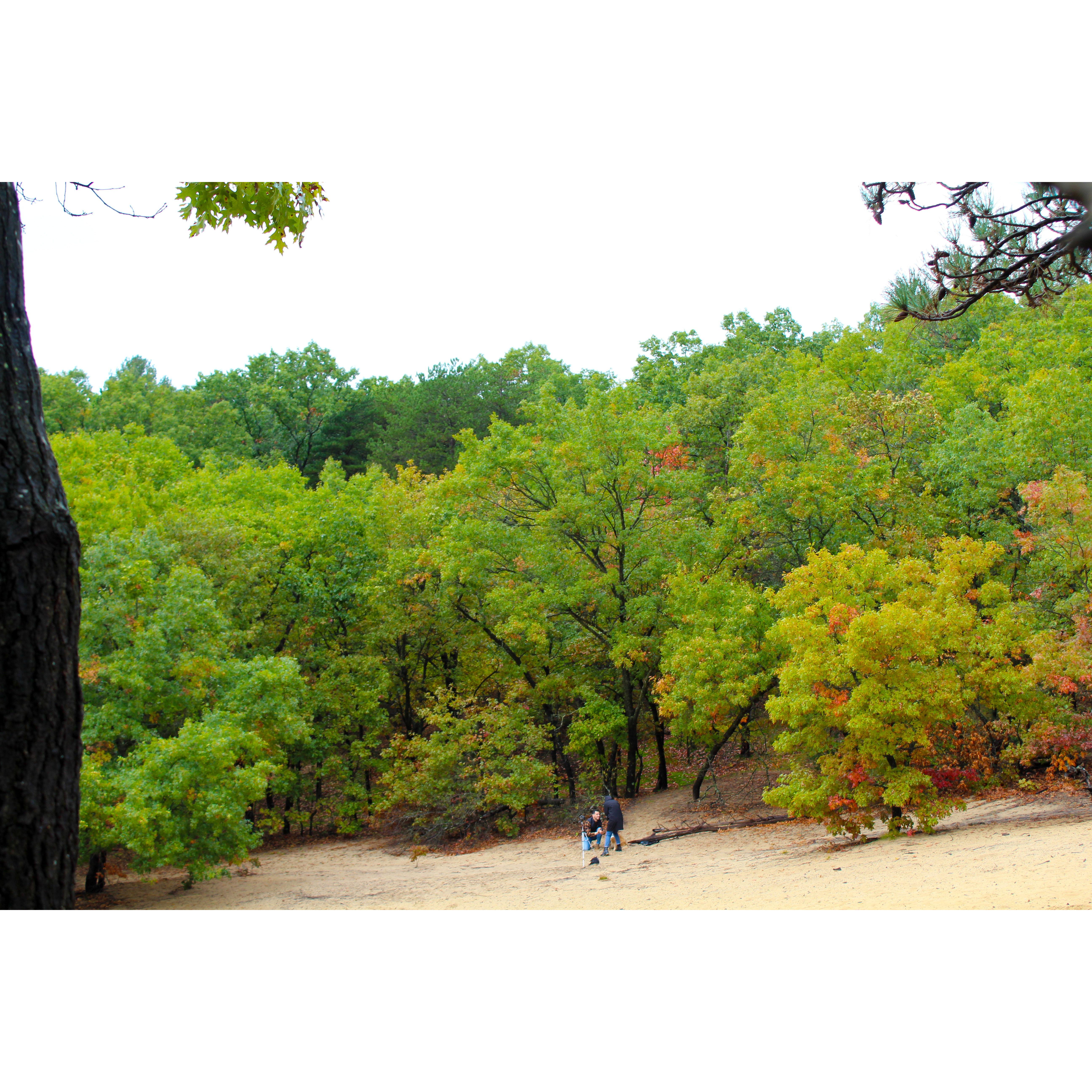 Nate pops the question! 10/14/2023