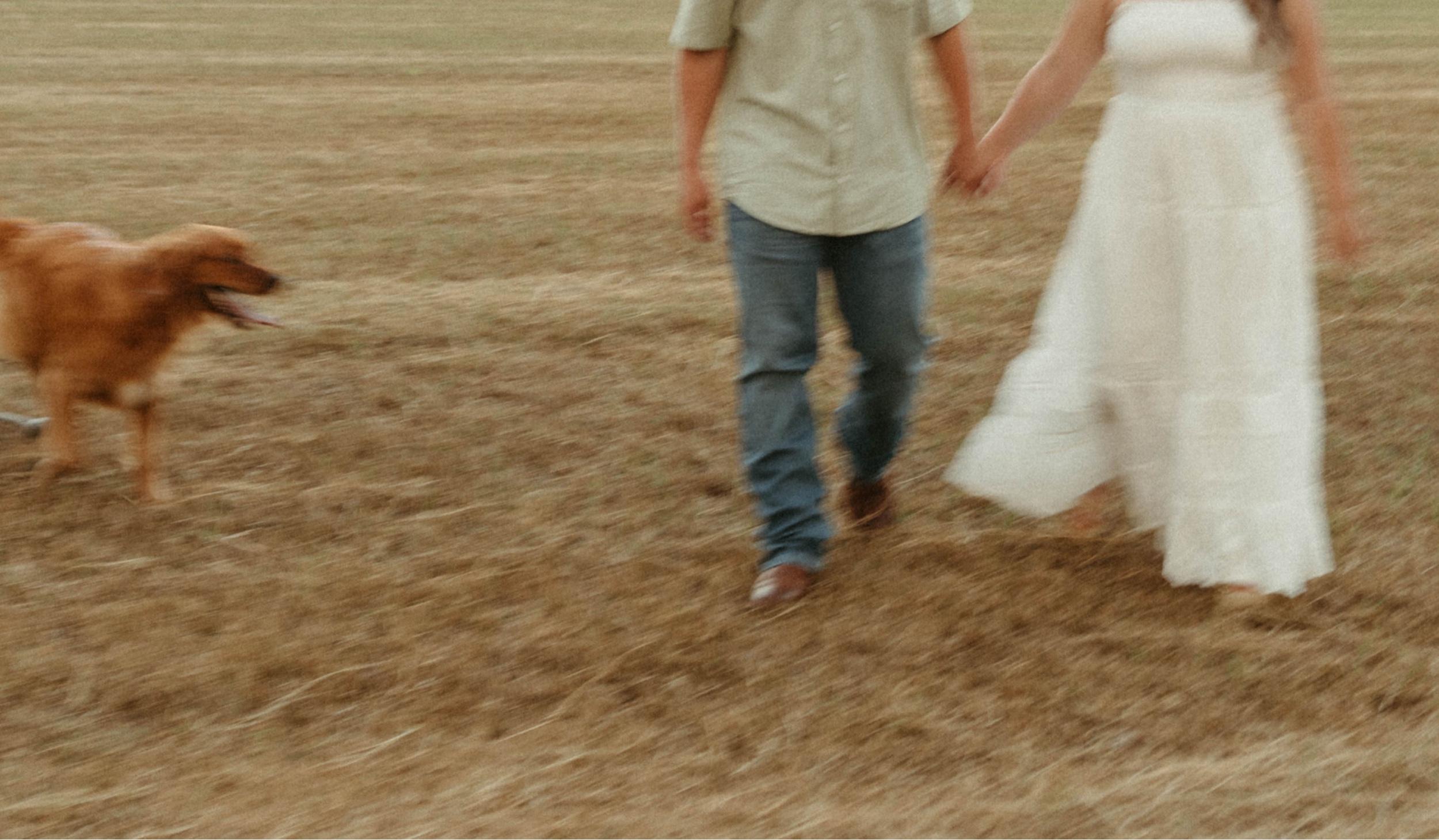 Hero Slideshow Image 5