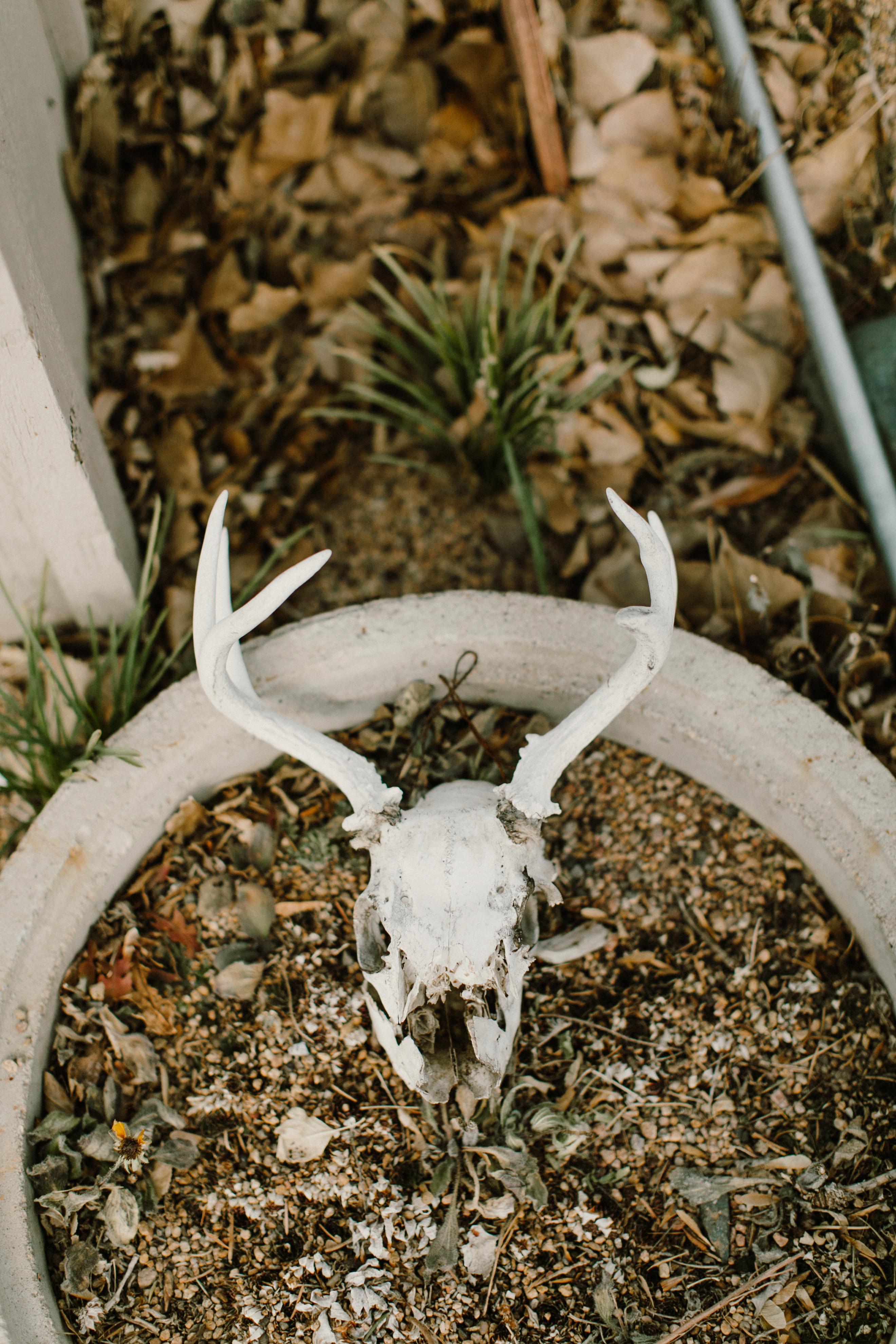 The Wedding Website of Katie Fromuth and Stuart Shoemaker
