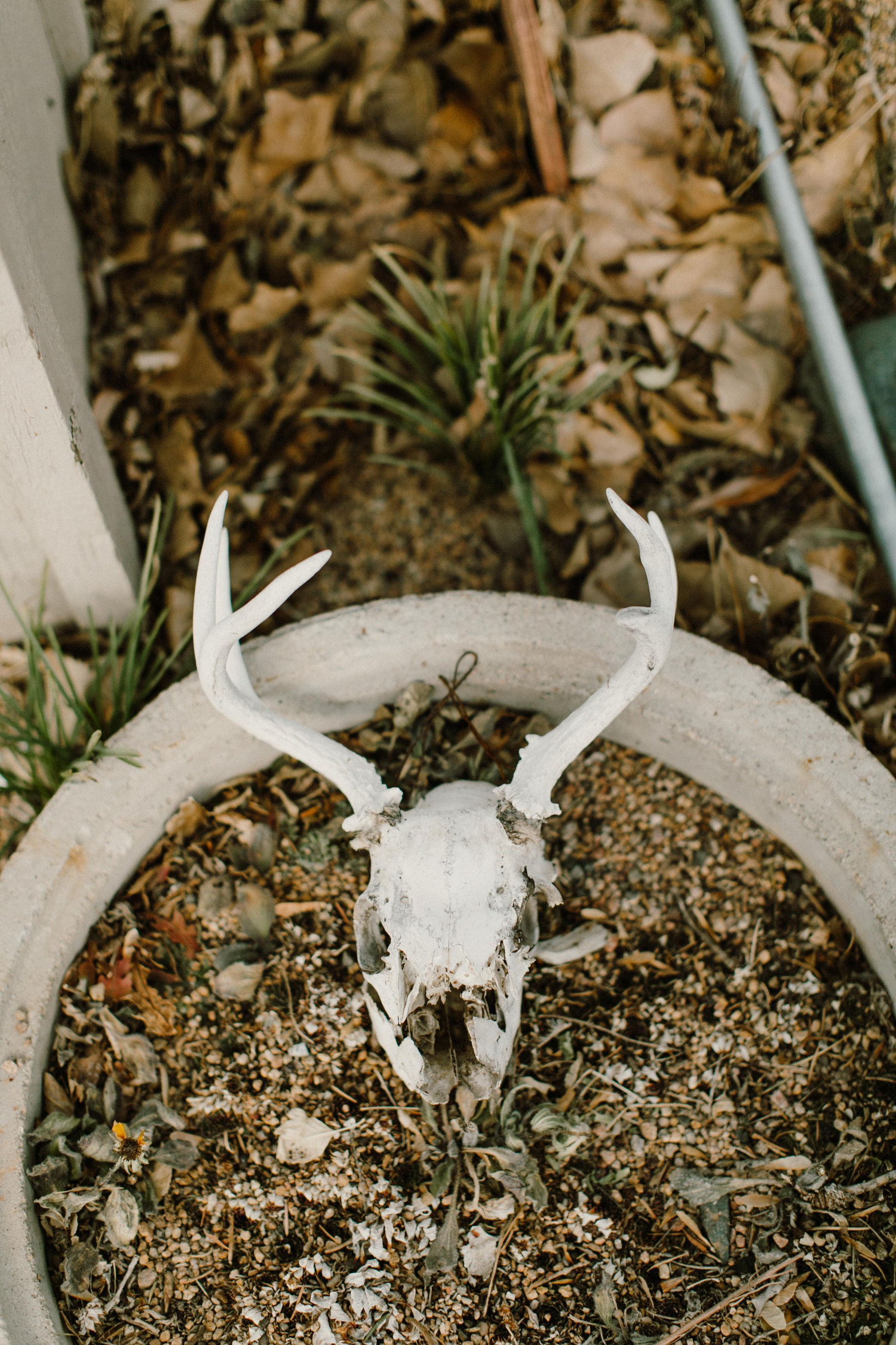 The Wedding Website of Katie Fromuth and Stuart Shoemaker