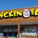 The Chicken or the Egg - Beach Haven