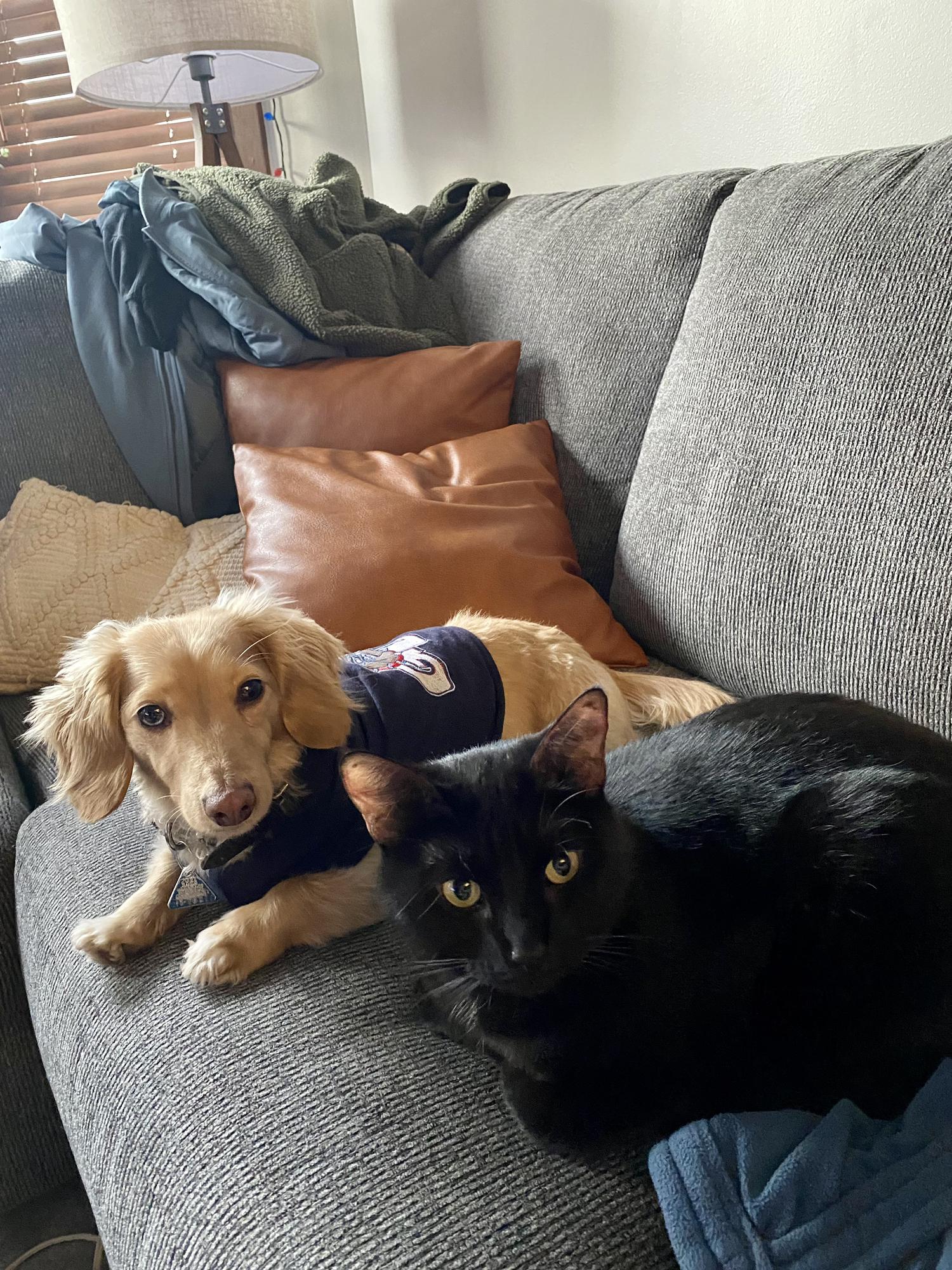 The boys, Kiwi and Shia!