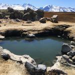 Wild Willy's Hot Spring