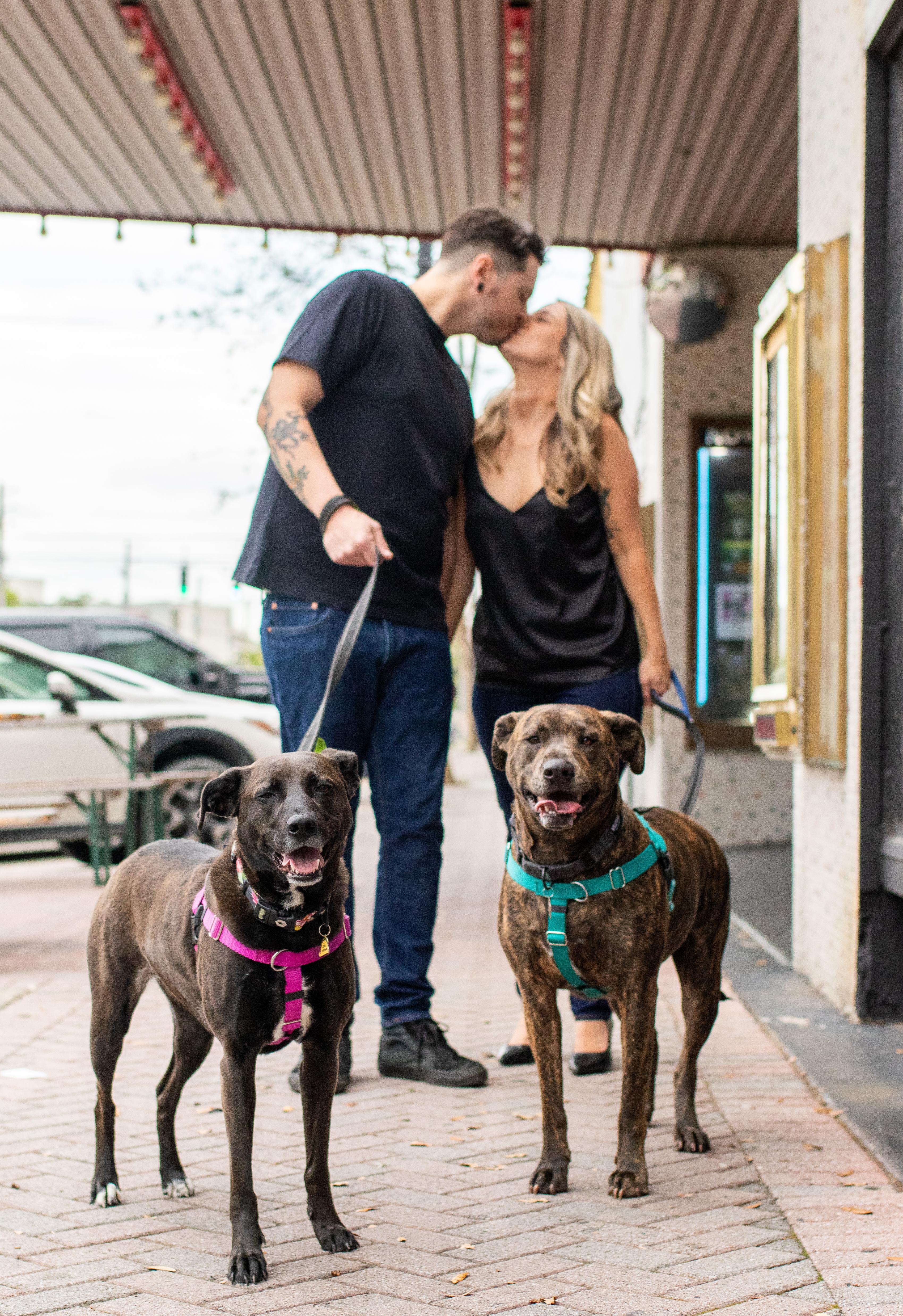 The Wedding Website of Amanda Johnson and Michael Dowie