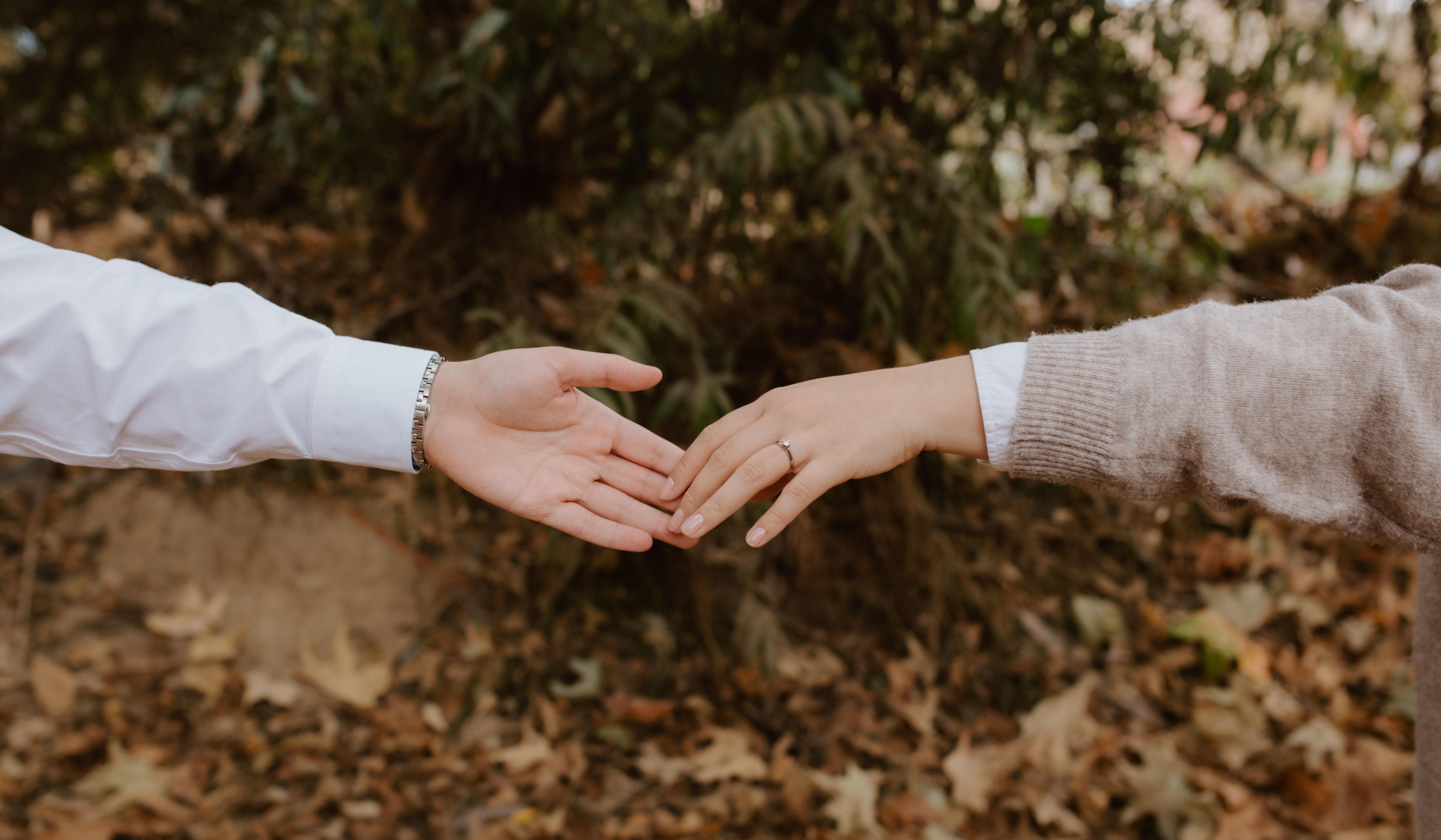 Hero Slideshow Image 0