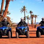 Quad Bike Tor to Palm Oasis & Jbilat Desert
