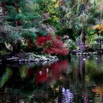 Point Defiance Park