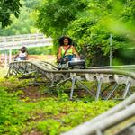 Mountain Creek Resort and Waterpark