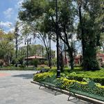 Coyoacán