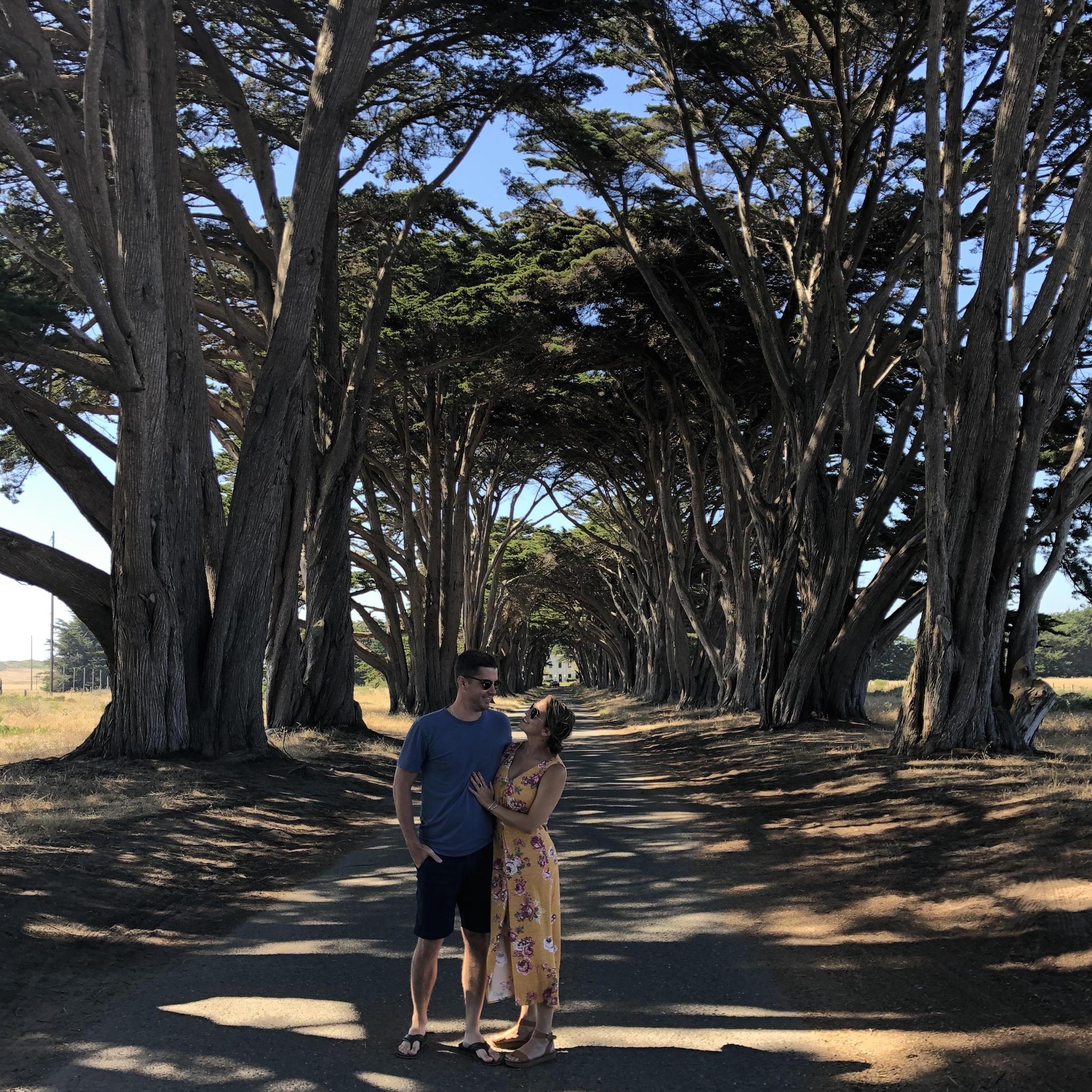 We took a 2-week trip to California in Summer '19. This photo was taken at the Point Reyes Cypress Tree Tunnel.
