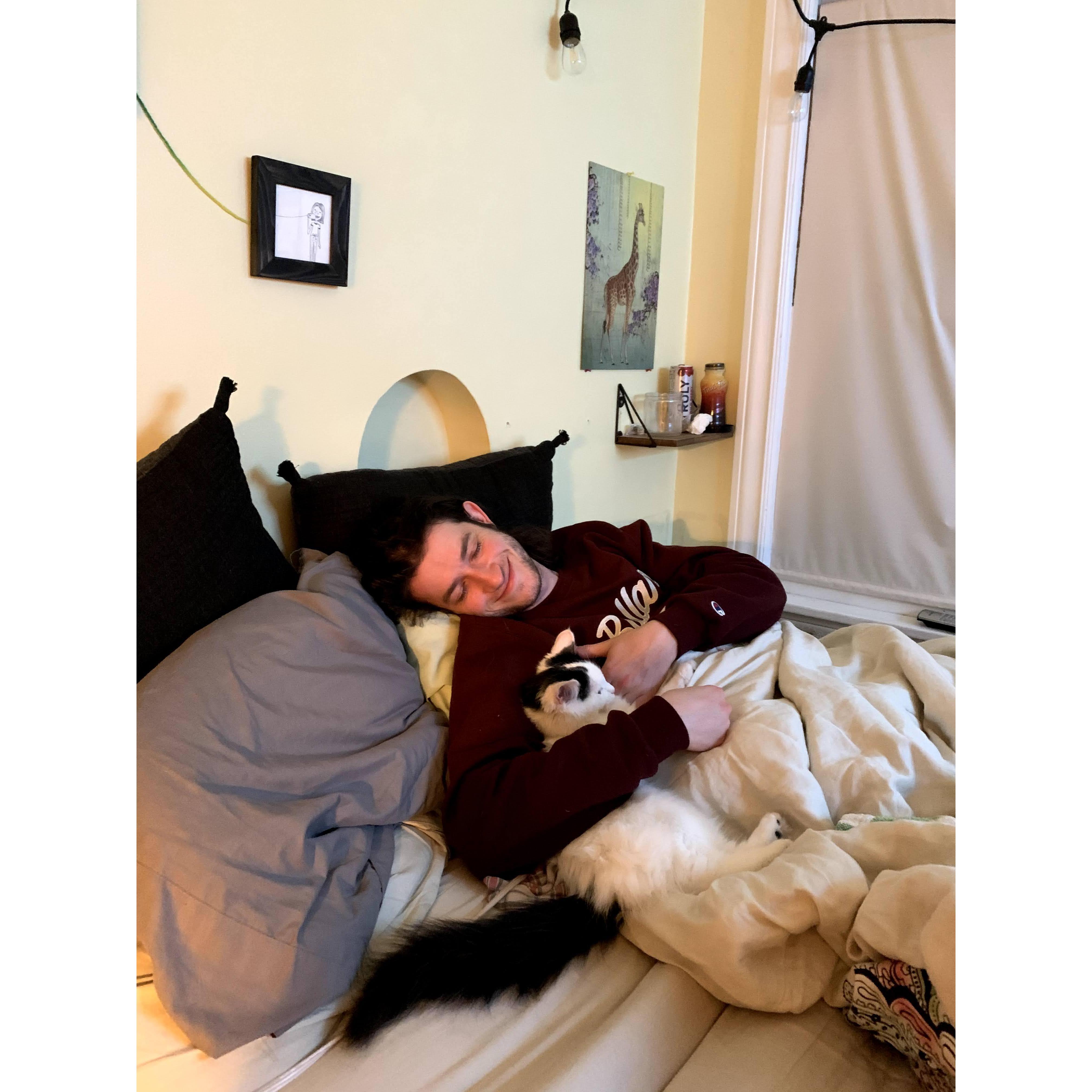 Cat nap