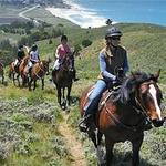 Sea Horse Ranch