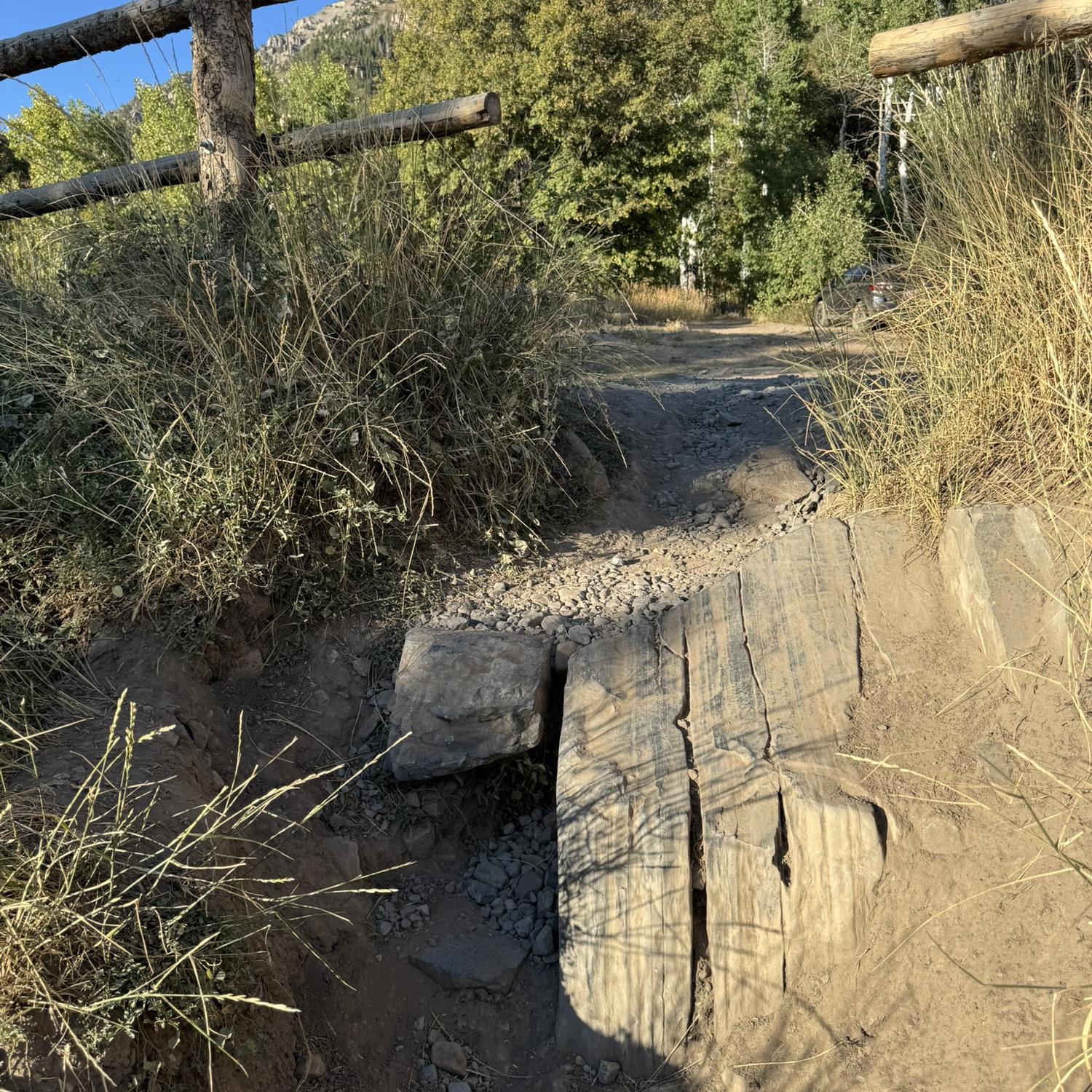 Entrance to trail is a bit steep but levels out