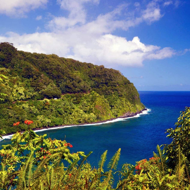 Hawaii Honeymoon Fund