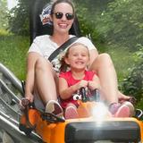Smoky Mountain Alpine Coaster