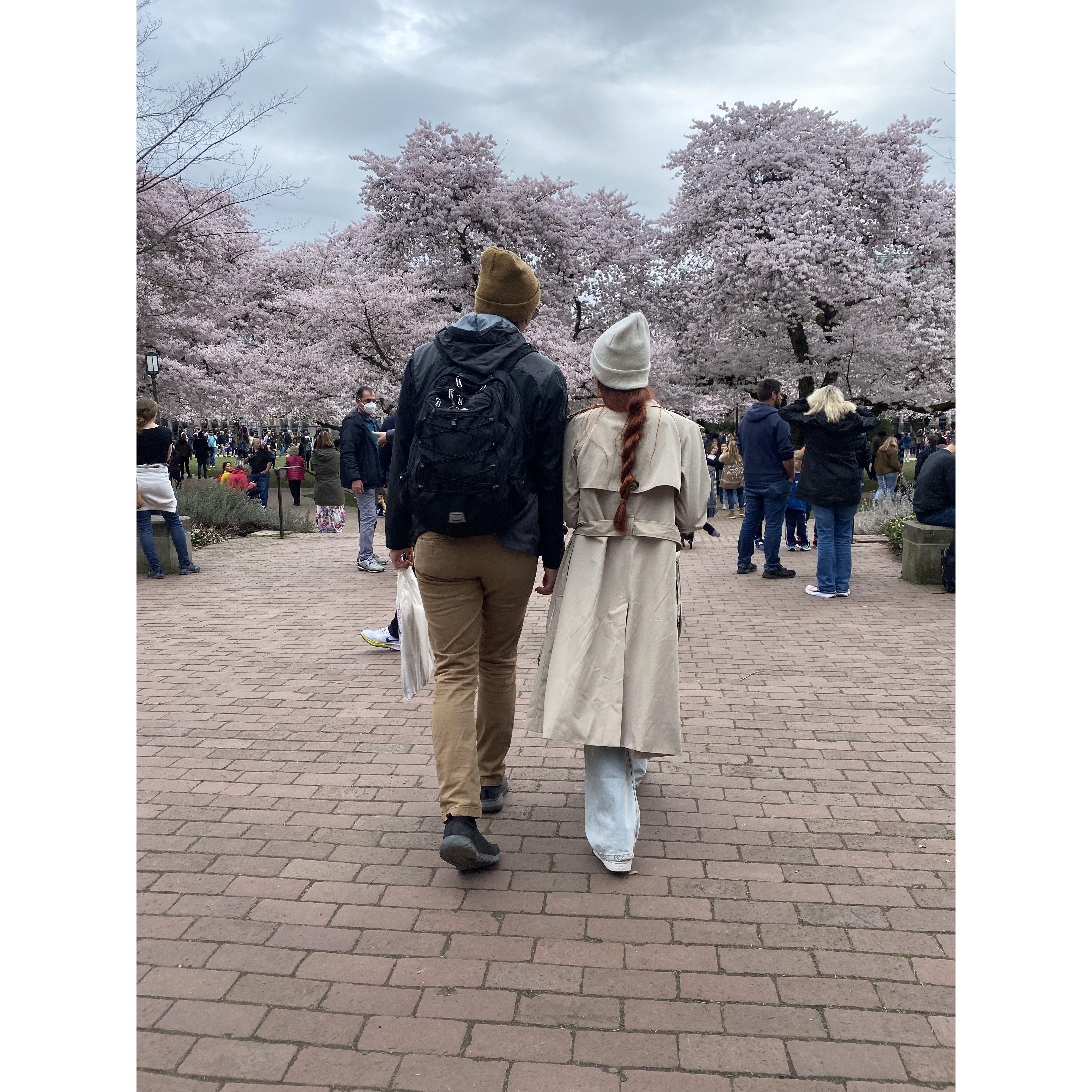 Cherry Blossom Fest
March 26, 2022