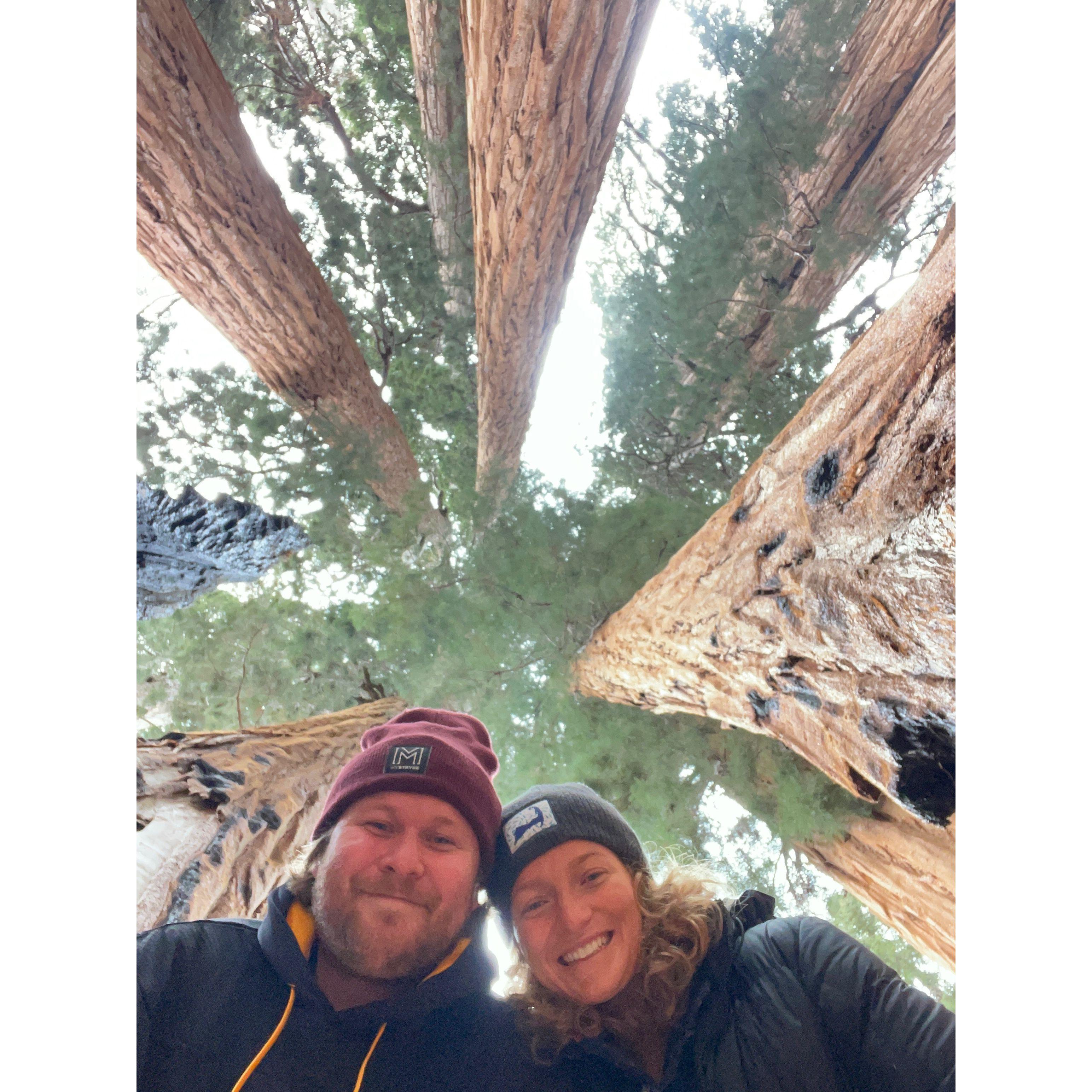 Sequoia National Park | December 2024