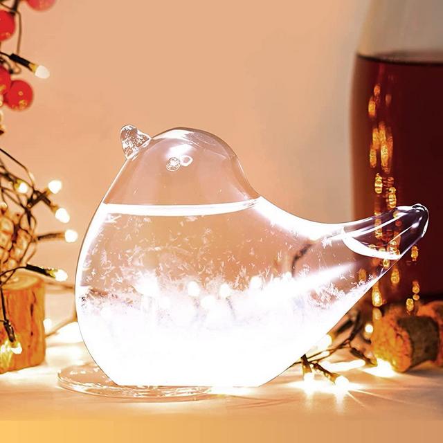 Storm Glass Weather Forecaster, SUNJULY Weather Predictor Barometer Weather Station for Office Desktop Home Decorative