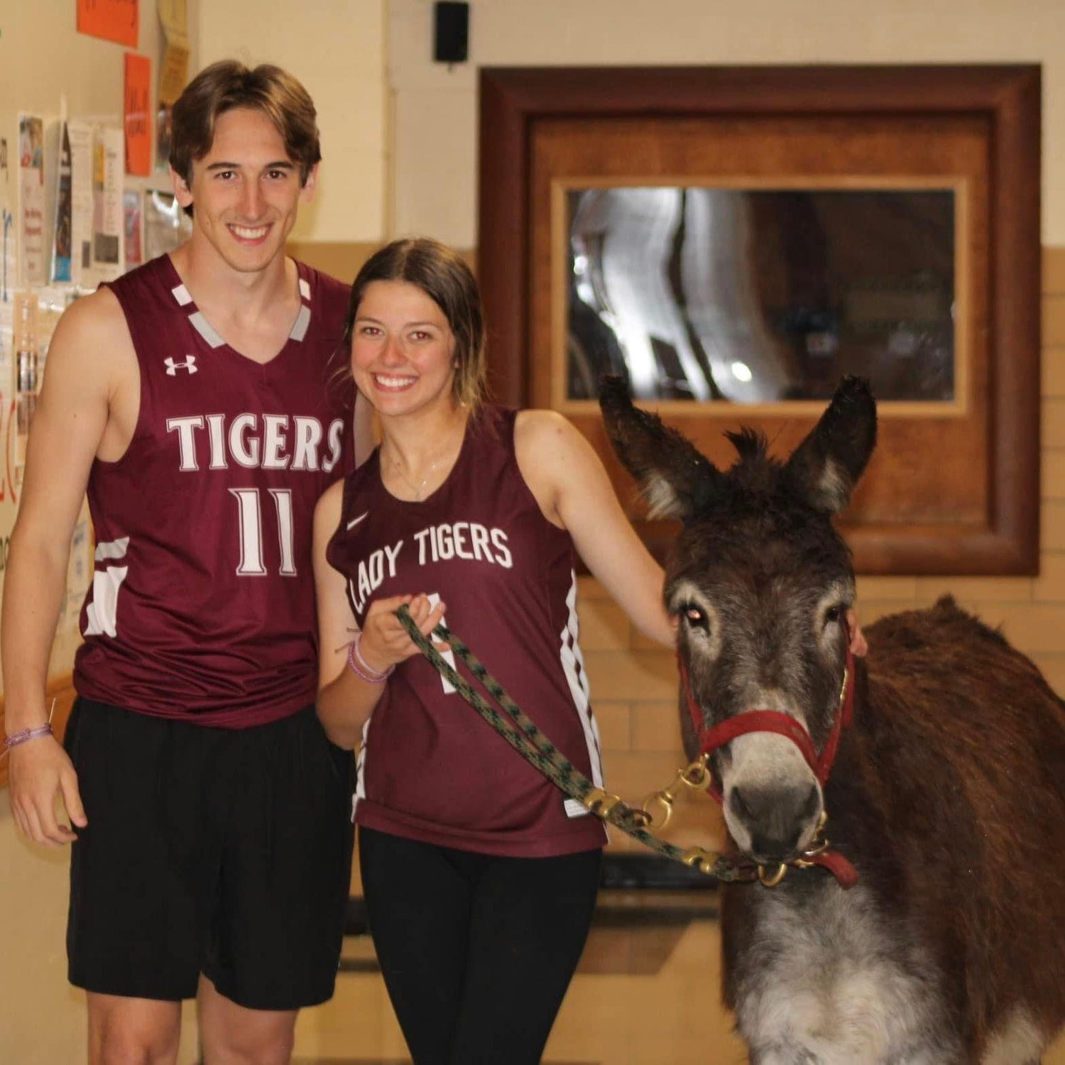 Donkey Basketball