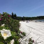 Pemaquid Beach