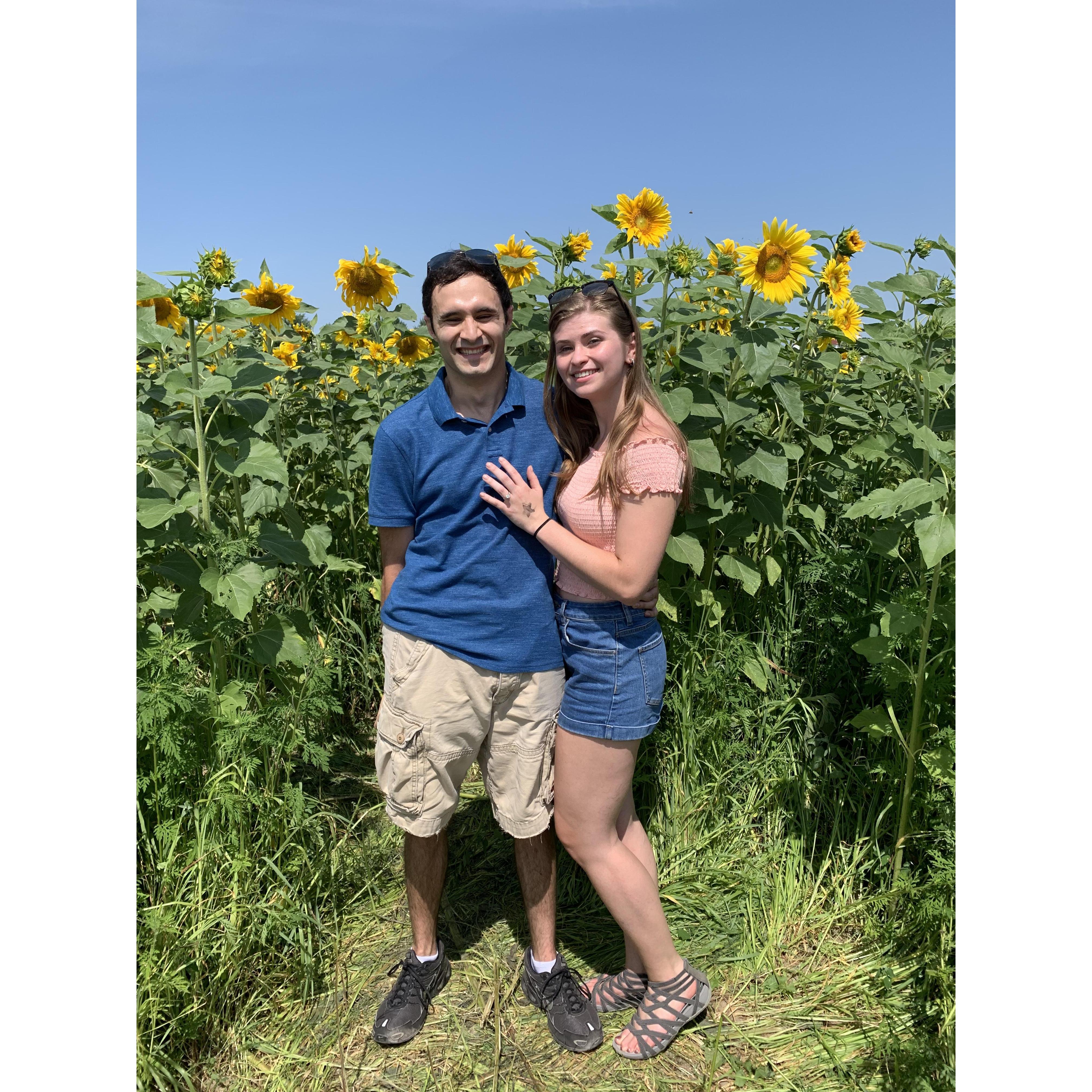 Circa July 2019. Sunflower festival in Frankenmuth, MI.