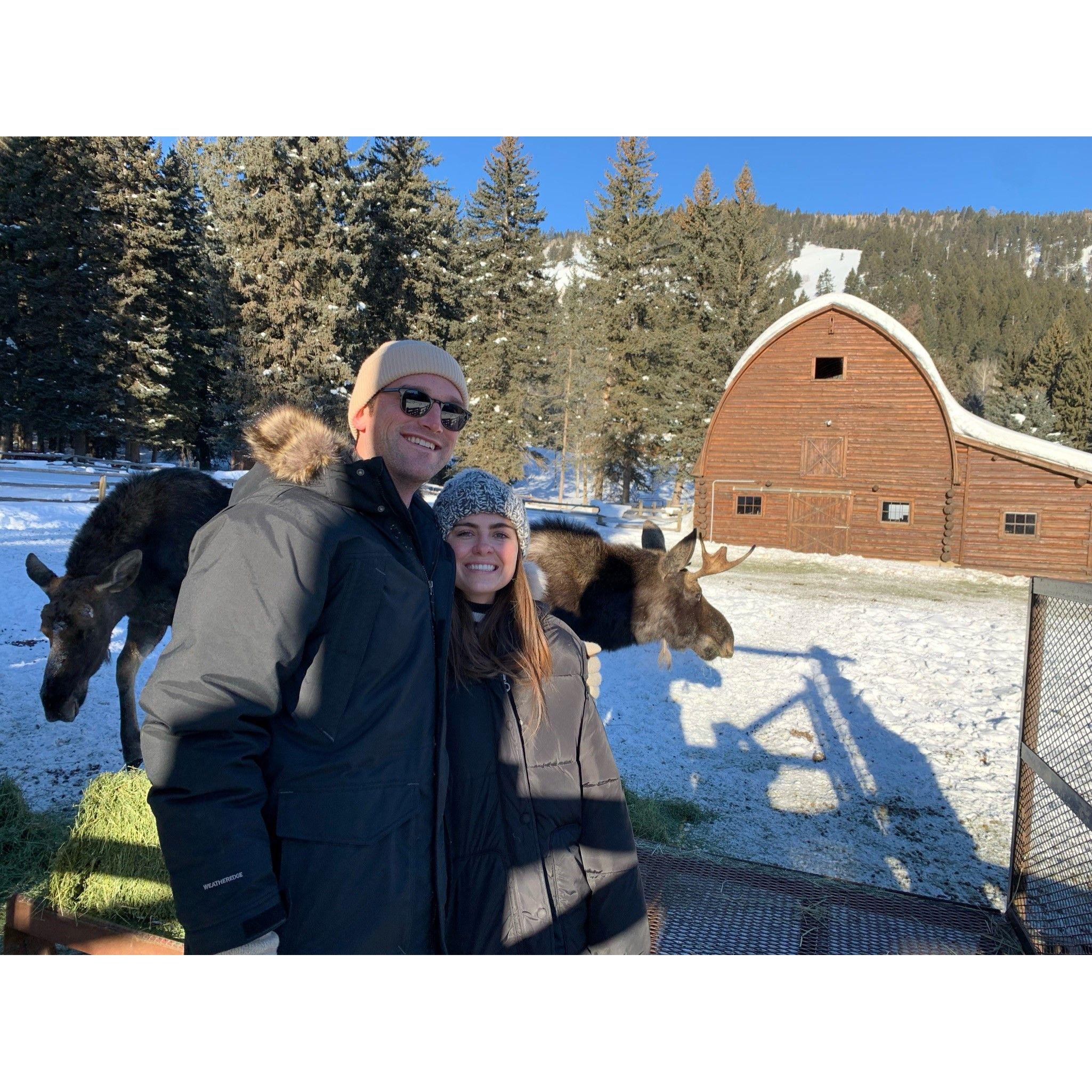 Hangin with Moose at Trail Creek Ranch!