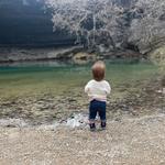 Hamilton Pool