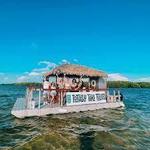 Totally Tiki Tours