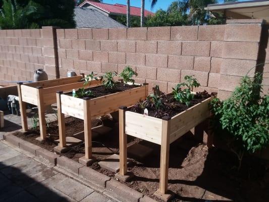 CedarCraft Outdoor Elevated Planter