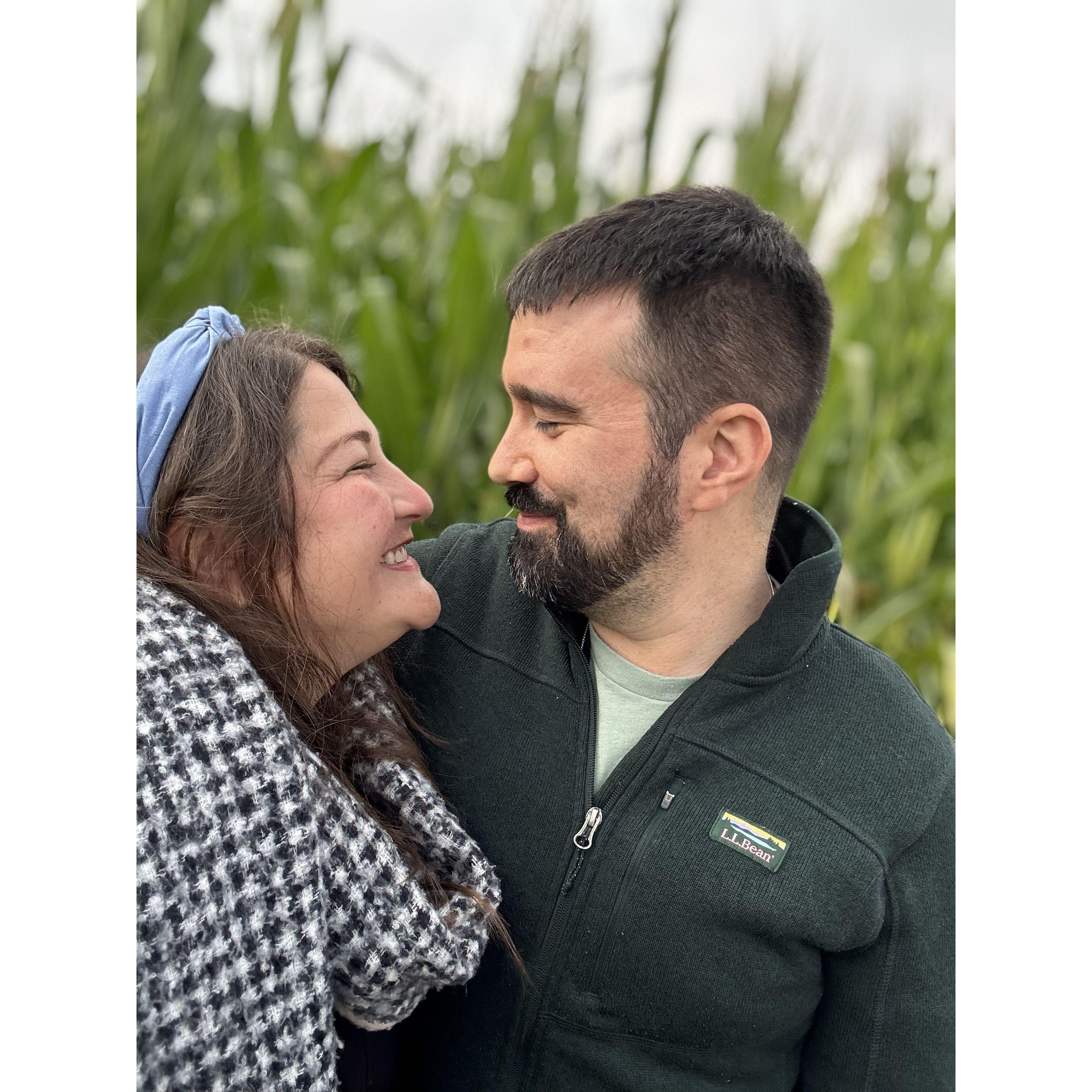 In a corn maze