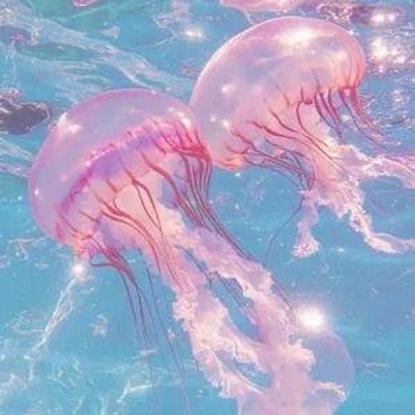 Monterey Bay Aquarium Tickets for 2