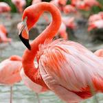 San Diego Zoo