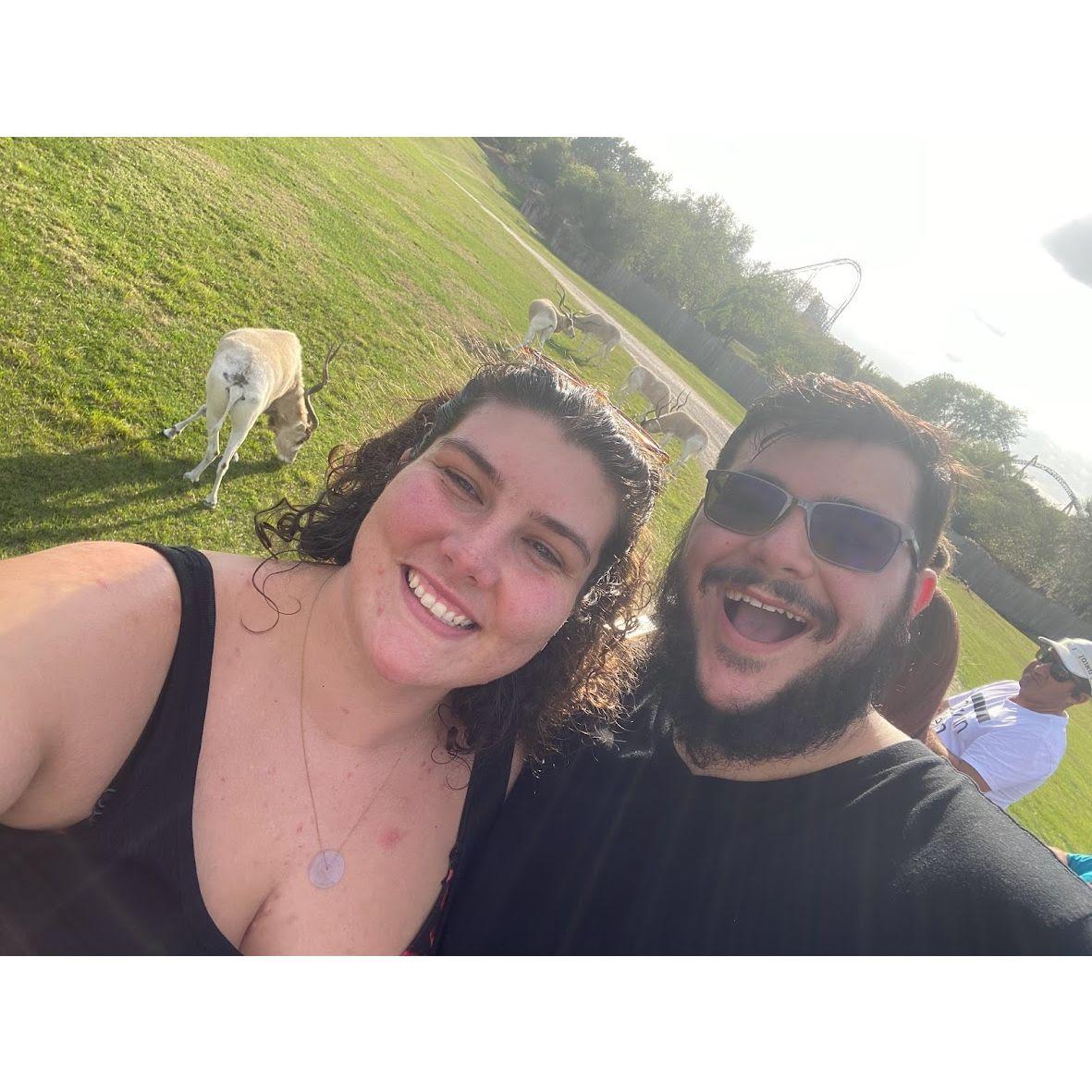 Busch Gardens, Giraffe Safari tour for Zach's Birthday, 2023